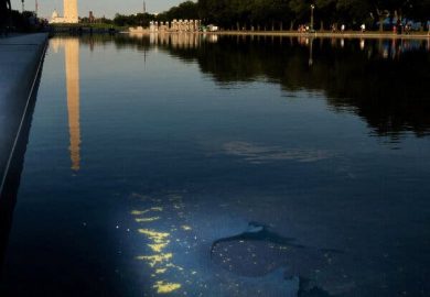 Trump’s Reflecting Pool Controversy: A Case Study in Dysfunction