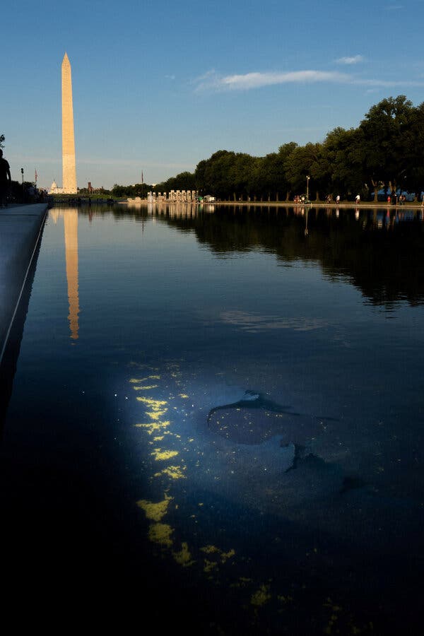 Trump’s Reflecting Pool Controversy: A Case Study in Dysfunction