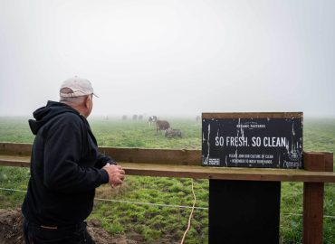 Raw Milk: A Controversial Surge
