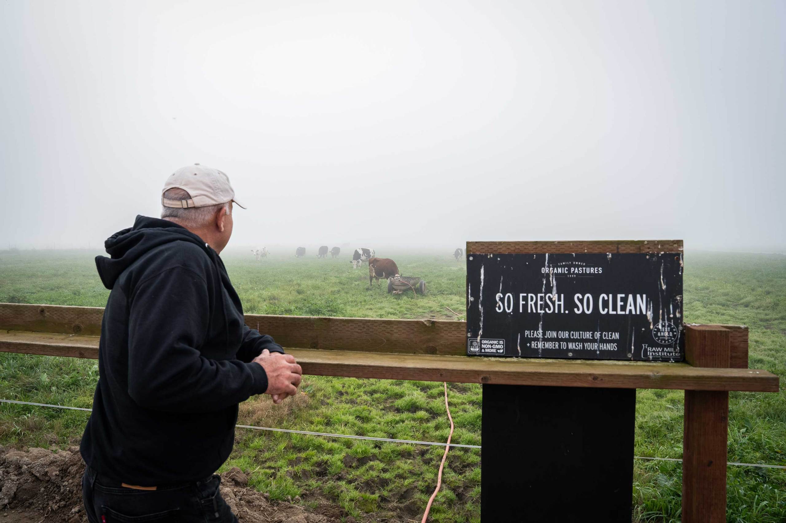 Raw Milk: A Controversial Surge