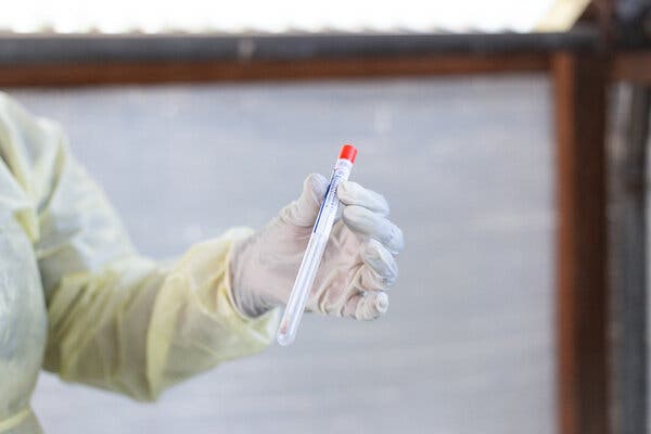 Dutch Virologist Investigated for Alleged Smuggling of Biological Materials