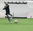 Robotics Revolution: The Impact of Soccer-Playing Robots on Future Technology