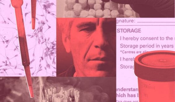 Jeffrey Epstein’s Controversial Sperm Storage Plan