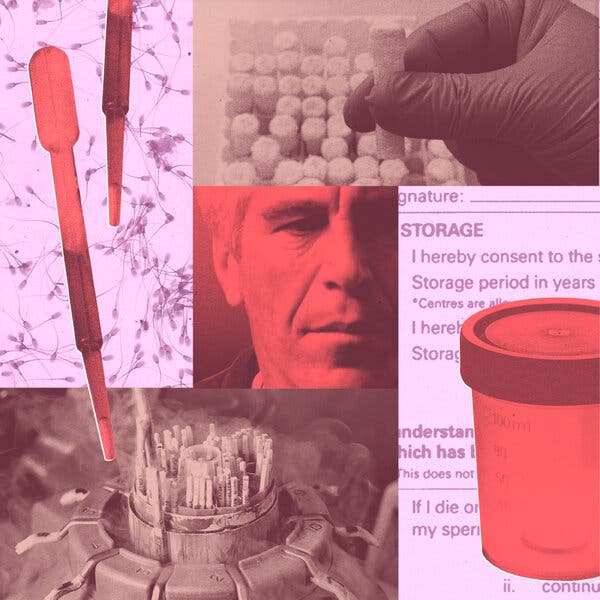 Jeffrey Epstein’s Controversial Sperm Storage Plan