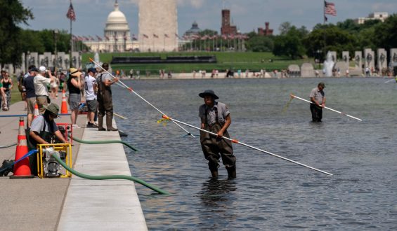 Reflecting Pool Renovation Sparks Environmental Concerns