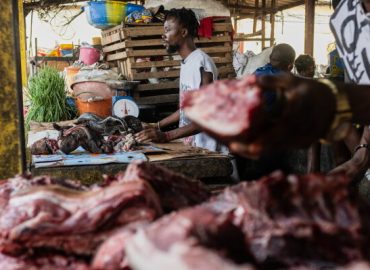 Ebola Outbreak in Congo: Latest Developments and Challenges