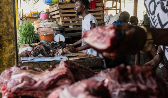 Ebola Outbreak in Congo: Latest Developments and Challenges