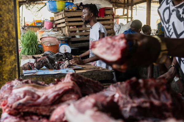 Ebola Outbreak in Congo: Latest Developments and Challenges