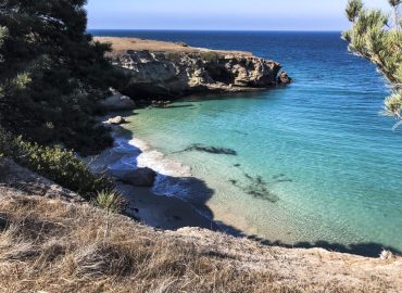 Santa Rosa Island Fire: Impact and Recovery Efforts