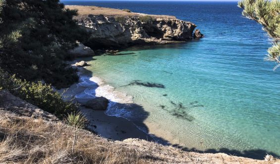 Santa Rosa Island Fire: Impact and Recovery Efforts
