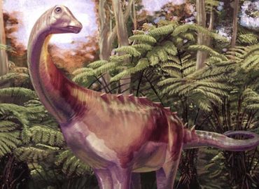 Rare Antarctic Dinosaur Fossil Discovered After Decades