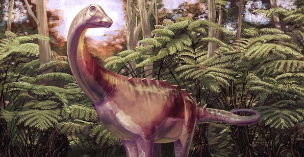 Rare Antarctic Dinosaur Fossil Discovered After Decades