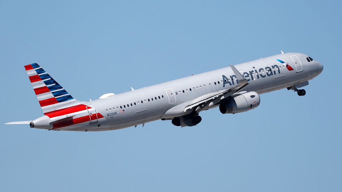Chaos on American Airlines Flight: Passenger Accused of Biting and Fighting