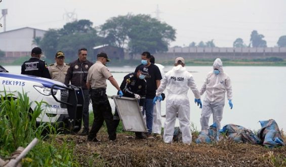 Eight Bodies Found Amid Drug Gang Violence in Ecuador