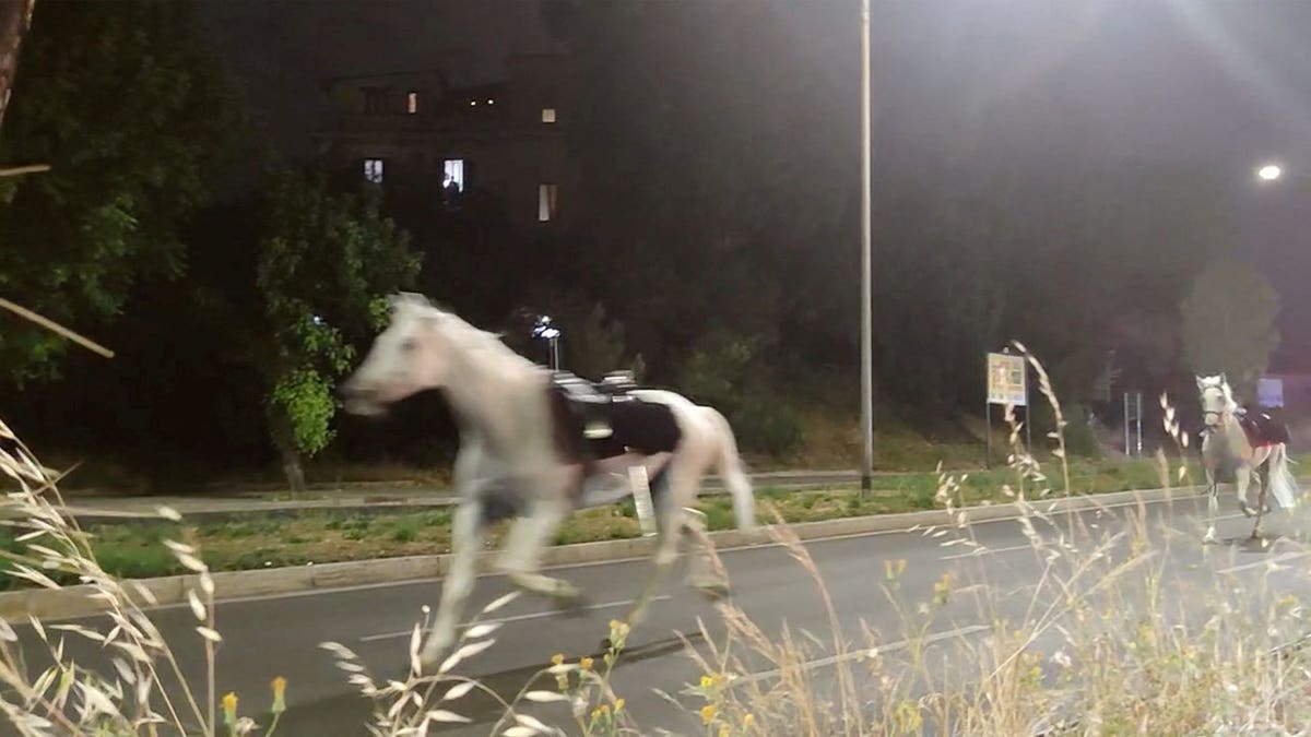Unauthorized Fireworks in Rome Cause Horse Stampede