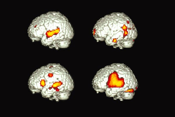 Study Reveals Shared Brain Processing for Bilingual Speakers