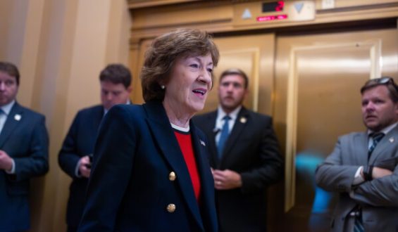 U.S. Senate Candidates, Primary Elections, and Political Updates