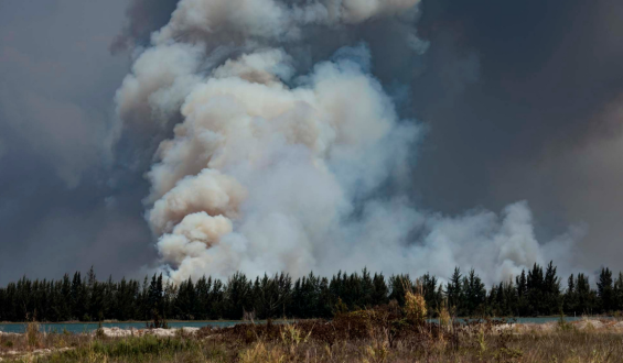 Brush Fires Spread Through Miami-Dade, Affecting Air Quality and Road Access
