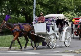 Debate Over Horse-Drawn Carriage Rides in Central Park