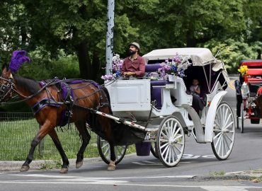Debate Over Horse-Drawn Carriage Rides in Central Park