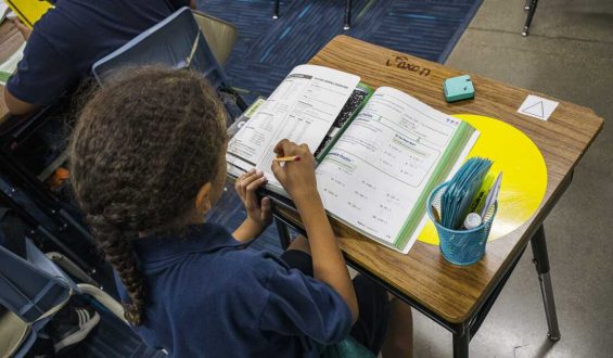National Assessment Reveals Mixed Trends in Student Performance