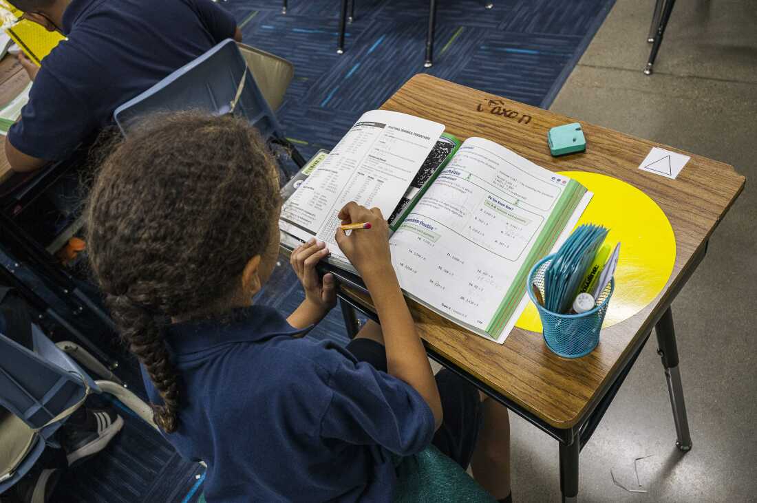 National Assessment Reveals Mixed Trends in Student Performance