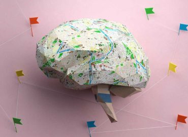 Socioeconomic Factors and Their Impact on Preteen Brain Development