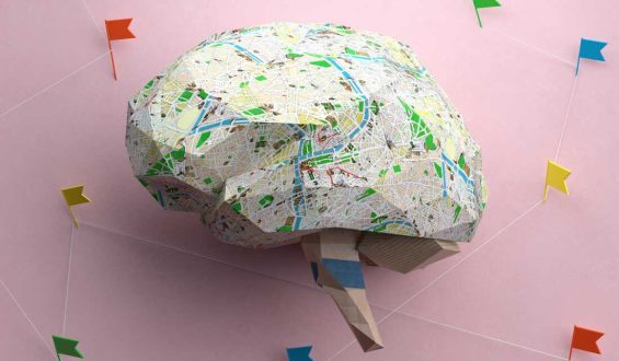 Socioeconomic Factors and Their Impact on Preteen Brain Development