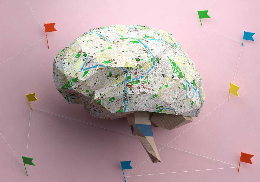 Socioeconomic Factors and Their Impact on Preteen Brain Development