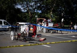 Fatal Carriage Crash Sparks Ban Debate in Central Park