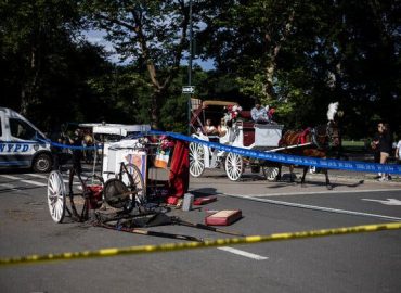 Fatal Carriage Crash Sparks Ban Debate in Central Park