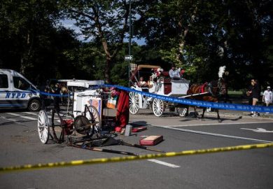 Fatal Carriage Crash Sparks Ban Debate in Central Park