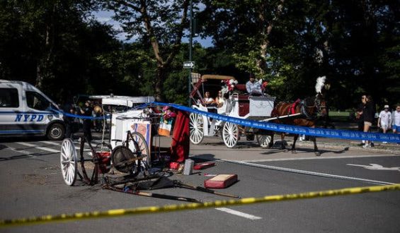 Fatal Carriage Crash Sparks Ban Debate in Central Park