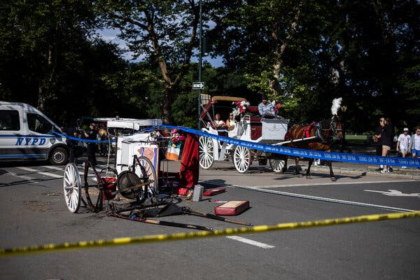 Fatal Carriage Crash Sparks Ban Debate in Central Park