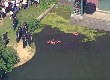 Rogue Swimmer’s Attempt to Evade Arrest in Central Park