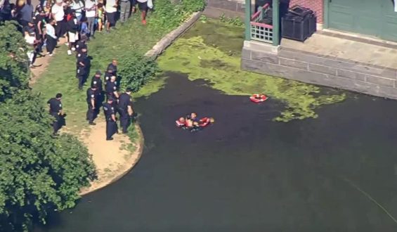 Rogue Swimmer’s Attempt to Evade Arrest in Central Park