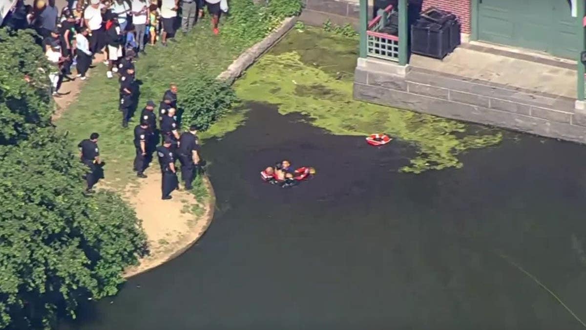 Rogue Swimmer’s Attempt to Evade Arrest in Central Park