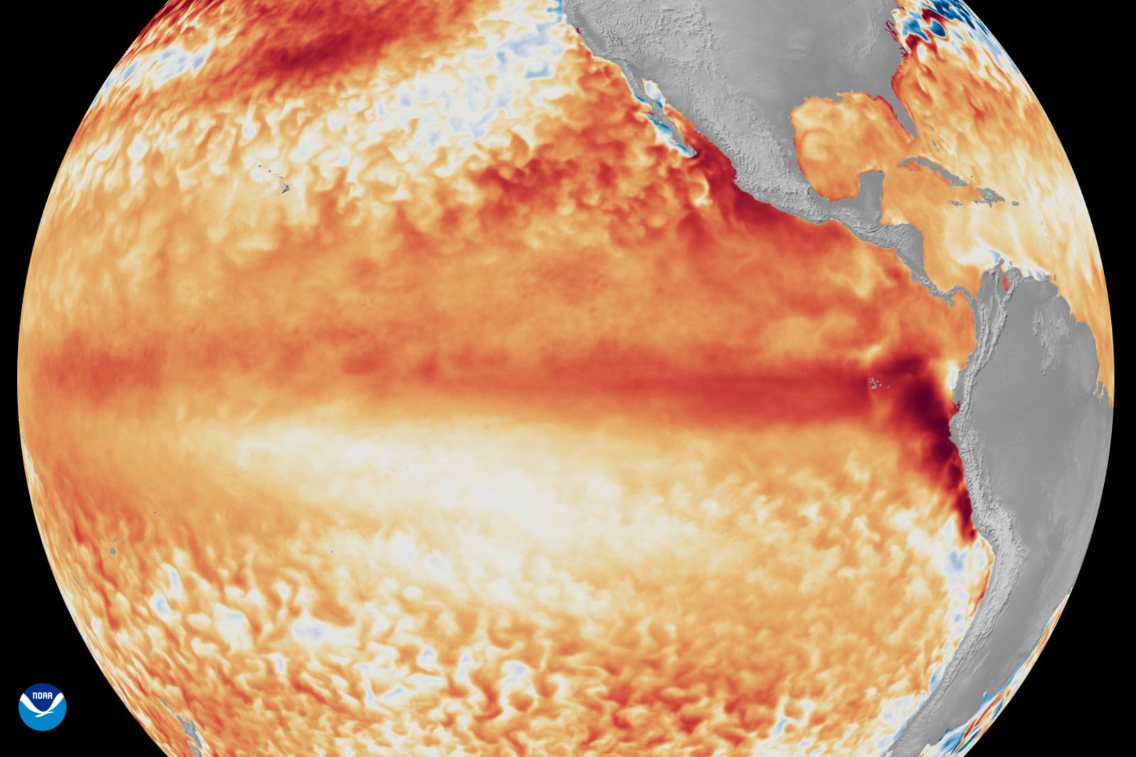 El Niño’s Impact on Weather Patterns Globally