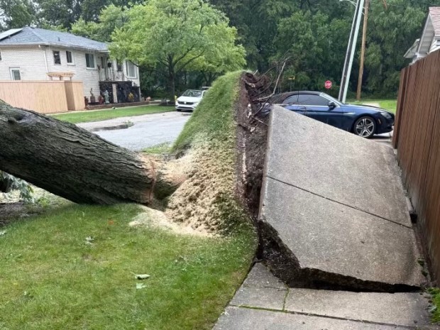 Tornado Hits Hickory Hills and Bridgeview Area