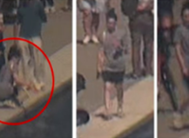 Investigation Into Vandalism at the Reflecting Pool