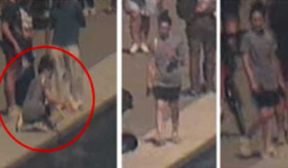 Investigation Into Vandalism at the Reflecting Pool