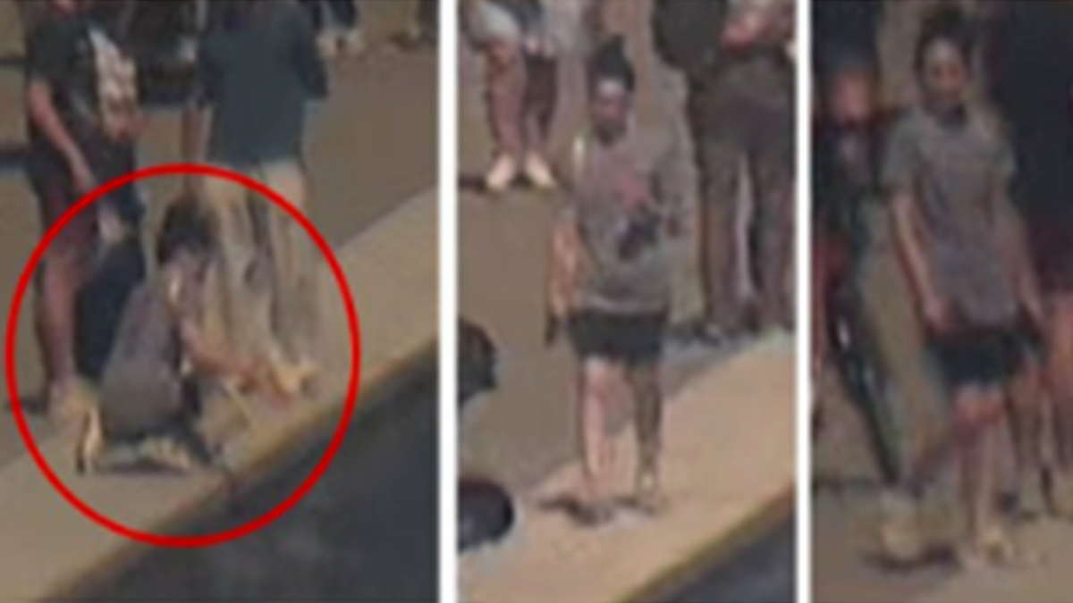 Investigation Into Vandalism at the Reflecting Pool