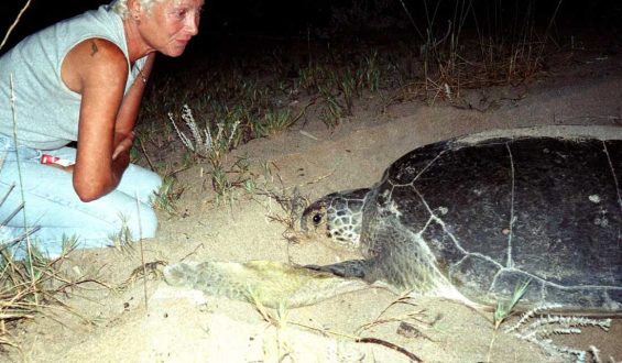 Legacy of Mona Khalil: A Lifelong Battle for Conservation