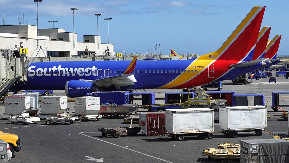 Southwest Airlines Plane Struck by Ground Vehicle During Boarding