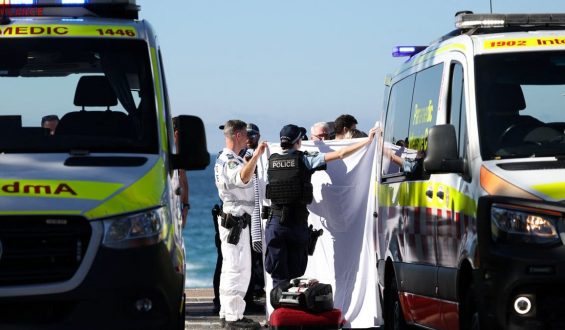 Recent Shark Attacks Surge in Australia’s Coastal Waters