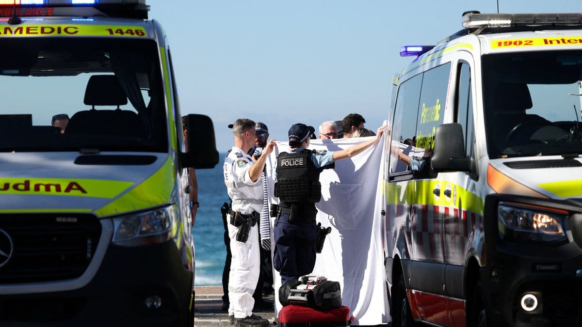 Recent Shark Attacks Surge in Australia’s Coastal Waters