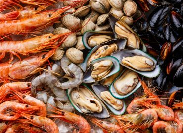 New Definition of Shellfish Includes Cephalopods, Aiming to Improve Trade Regulations