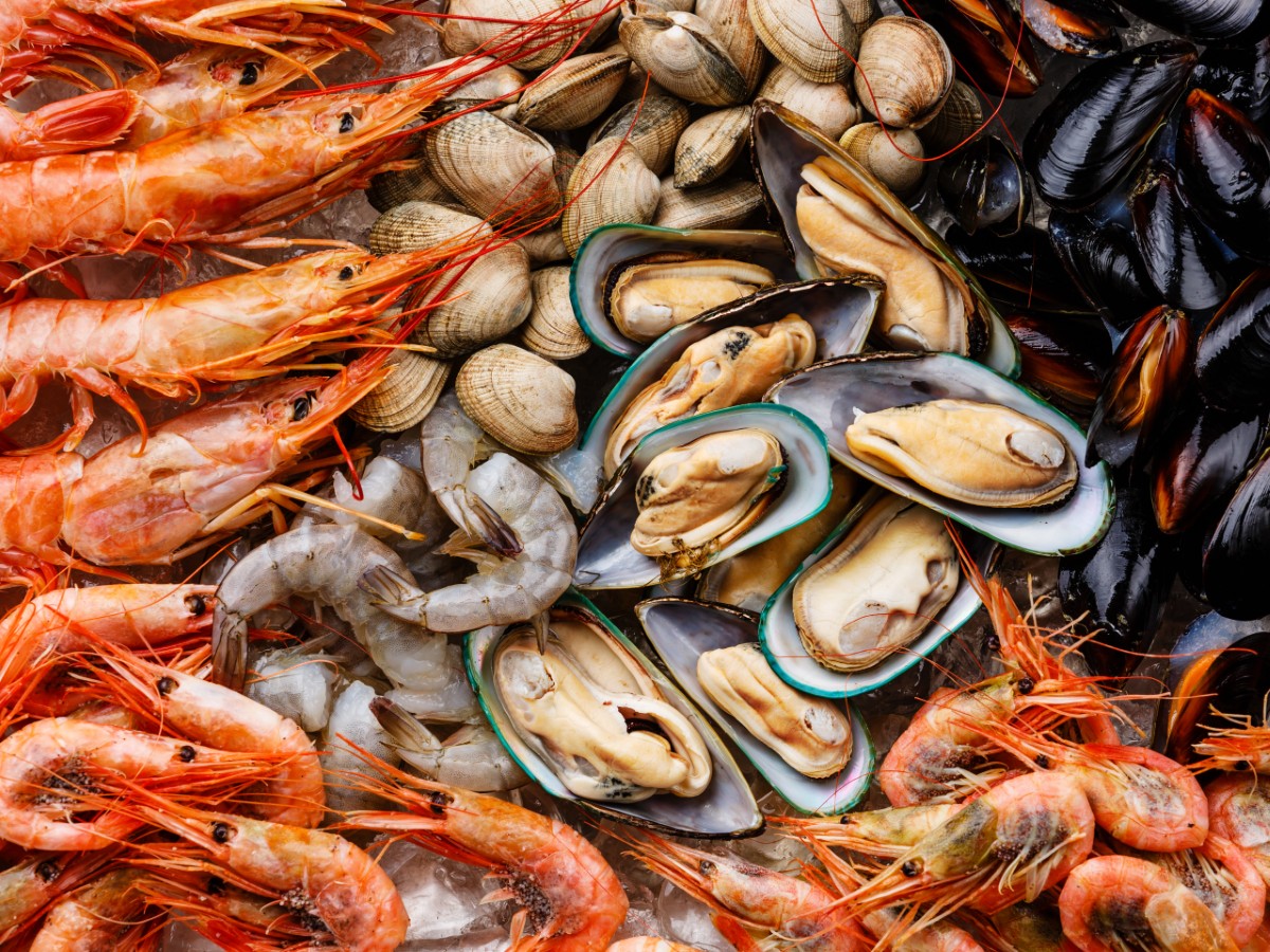 New Definition of Shellfish Includes Cephalopods, Aiming to Improve Trade Regulations