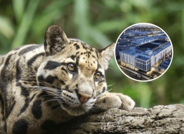 Growing Opposition for Data Center Near Nashville Zoo