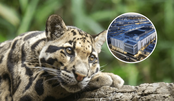 Growing Opposition for Data Center Near Nashville Zoo